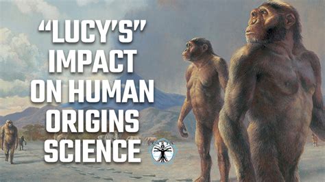 lucy's impact on human evolution.